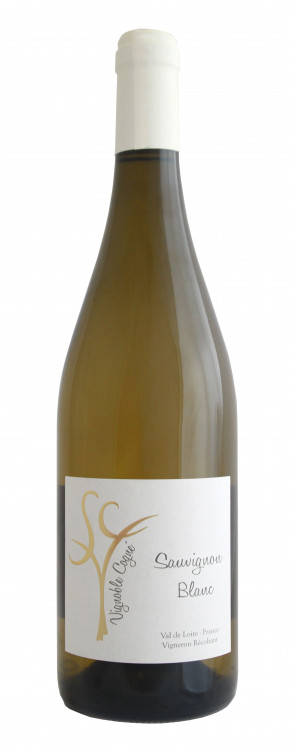 Vignoble Cogné Sauvignon Blanc 